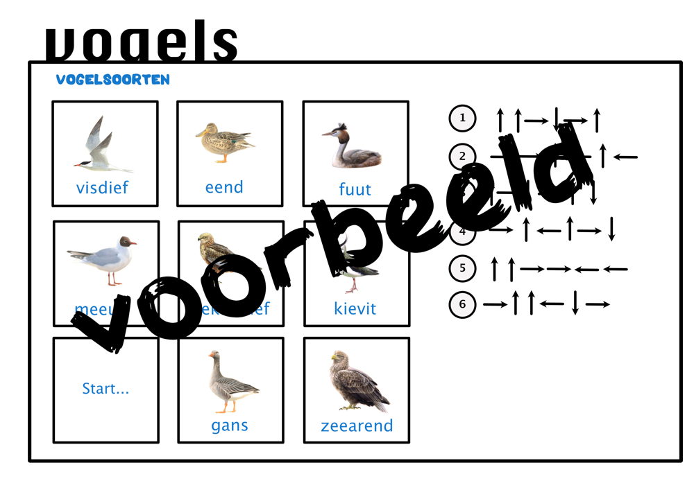 Escaperoom 'Ontsnapt uit de Dierentuin' - Afbeelding 3